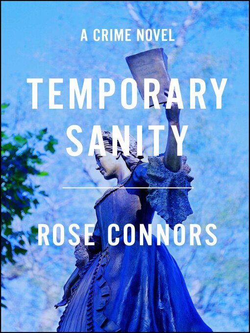Cover image for Temporary Sanity